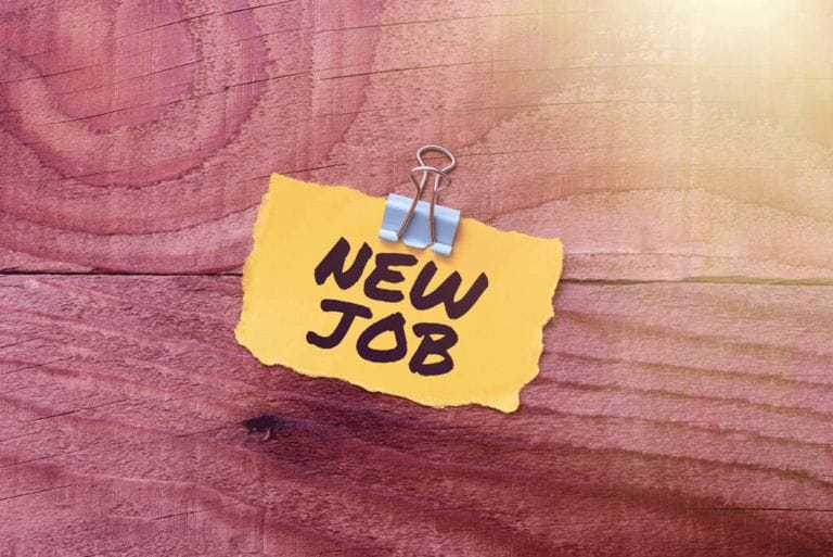 Unemployment rate falls