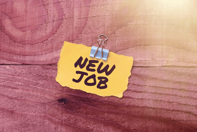 Turkish Unemployment Rate Falls to 8.8% in December Unemployment rate falls